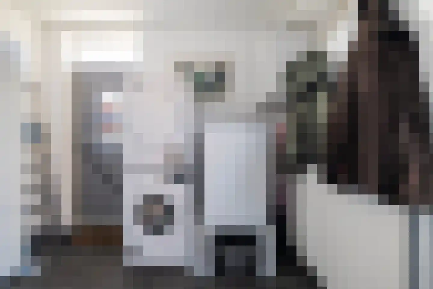 Pr Hendrikstraat 17 Dalerpeel thumbnail 11