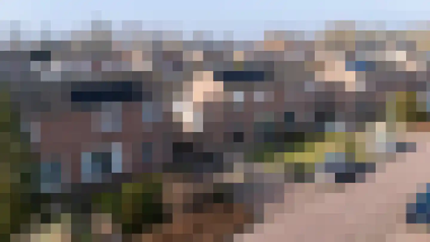 Pr Hendrikstraat 17 Dalerpeel thumbnail 35