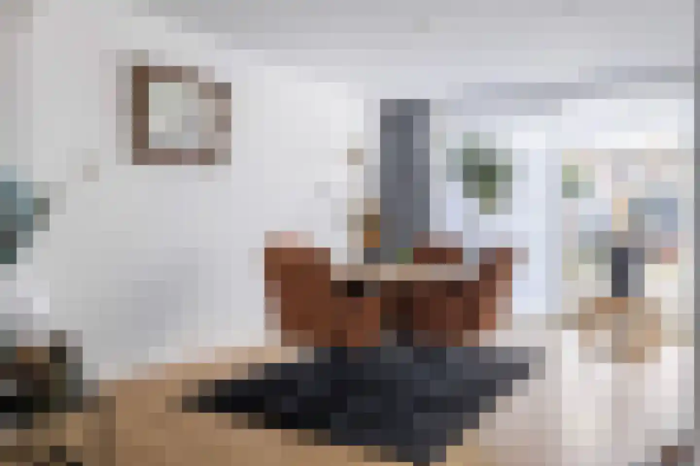 Pr Hendrikstraat 17 Dalerpeel thumbnail 6