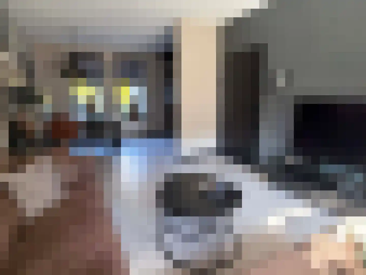 Pr Hendrikstraat 20 Dalerpeel thumbnail 14