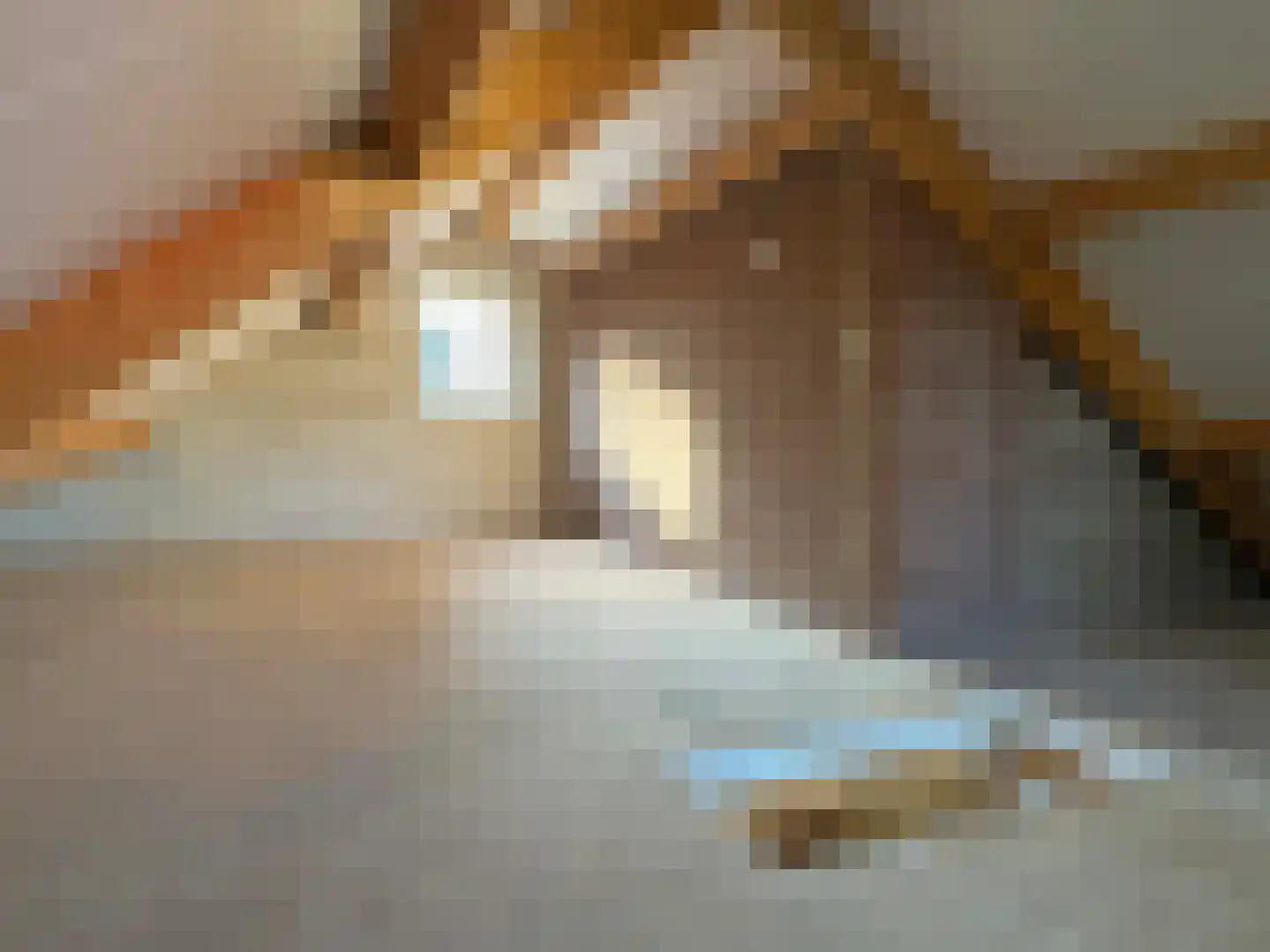 Pr Hendrikstraat 20 Dalerpeel thumbnail 19
