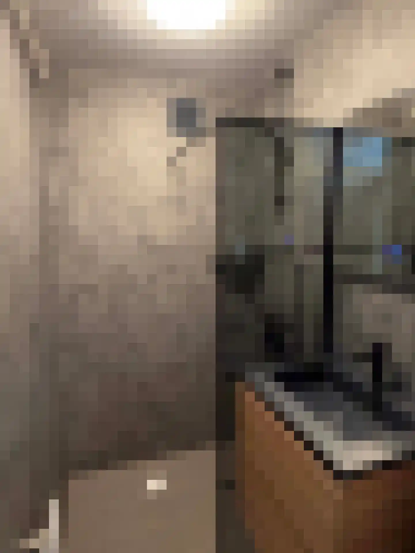 Pr Hendrikstraat 20 Dalerpeel thumbnail 22