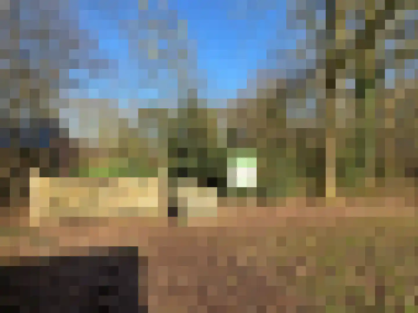 Pr Hendrikstraat 20 Dalerpeel thumbnail 27
