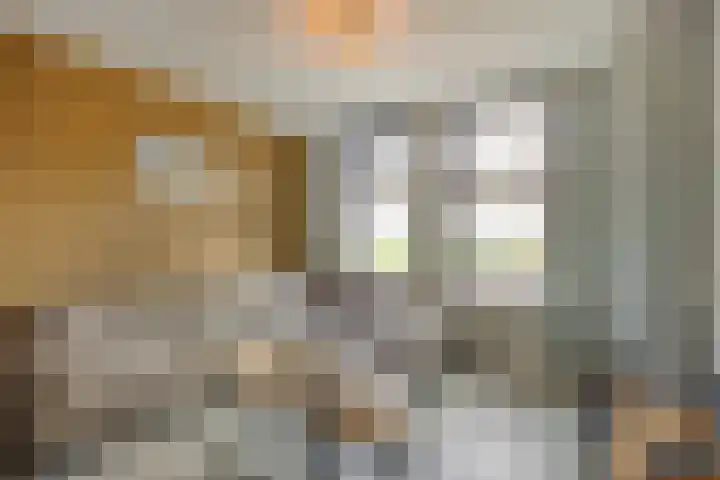 Pr Hendrikstraat 22 Dalerpeel thumbnail 10