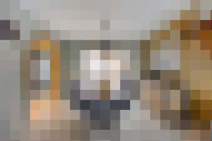 Pr Hendrikstraat 22 Dalerpeel thumbnail 14