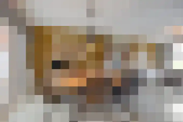 Pr Hendrikstraat 22 Dalerpeel thumbnail 15