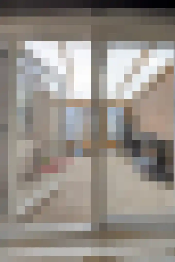Pr Hendrikstraat 22 Dalerpeel thumbnail 16