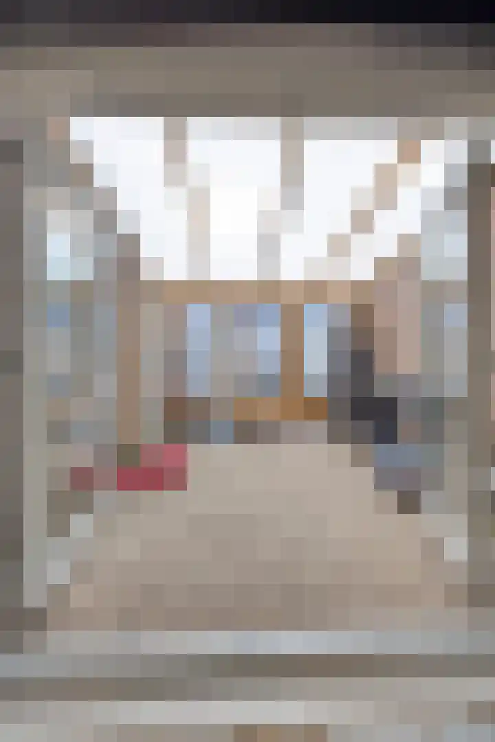 Pr Hendrikstraat 22 Dalerpeel thumbnail 17