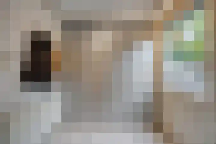 Pr Hendrikstraat 22 Dalerpeel thumbnail 23