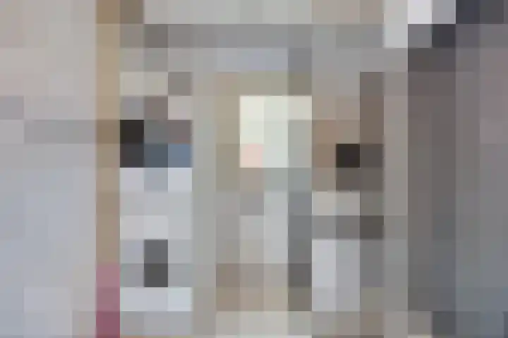 Pr Hendrikstraat 22 Dalerpeel thumbnail 24