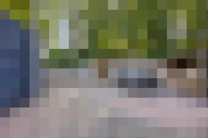 Pr Hendrikstraat 22 Dalerpeel thumbnail 28