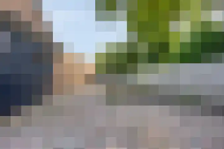 Pr Hendrikstraat 22 Dalerpeel thumbnail 29