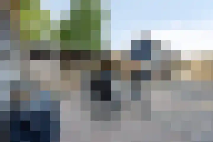 Pr Hendrikstraat 22 Dalerpeel thumbnail 32