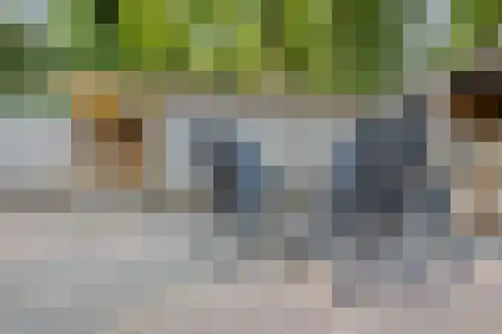 Pr Hendrikstraat 22 Dalerpeel thumbnail 33