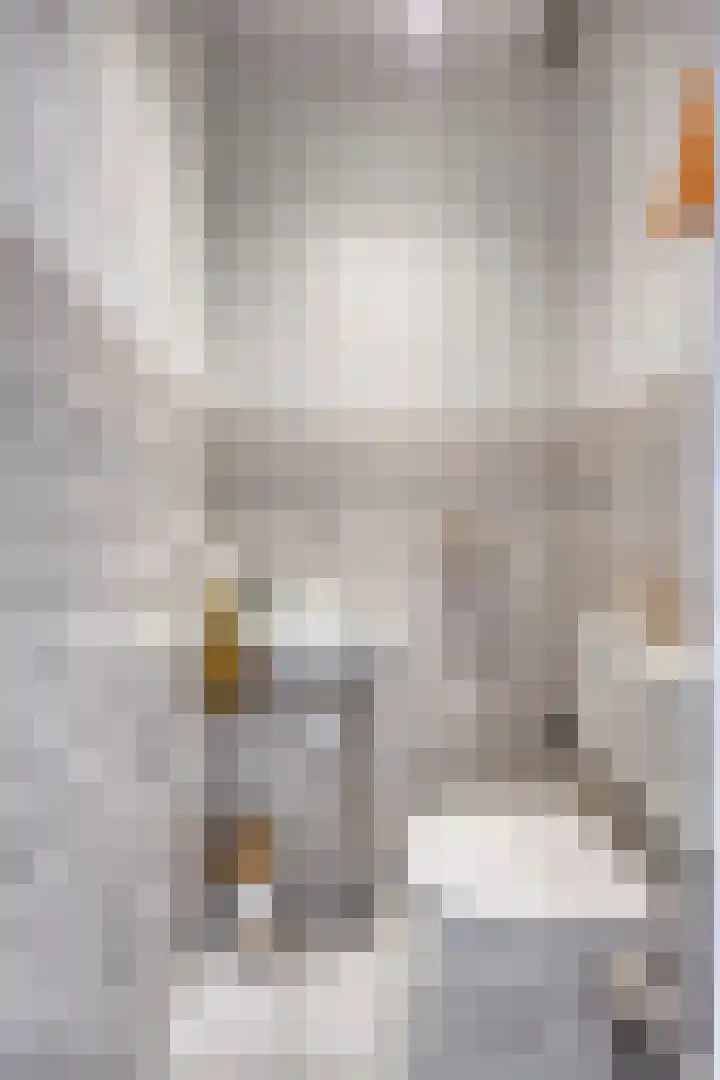 Pr Hendrikstraat 22 Dalerpeel thumbnail 4