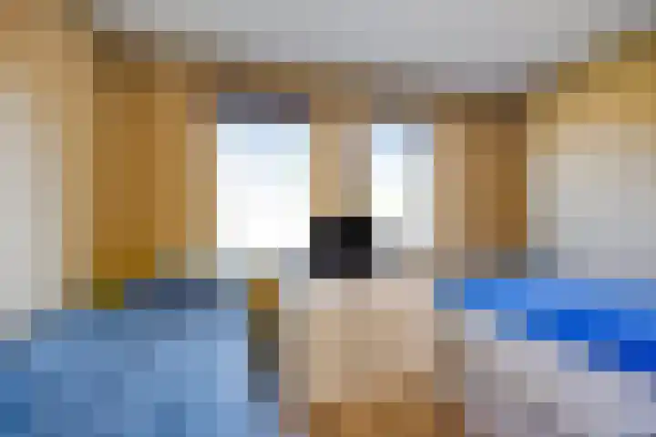 Pr Hendrikstraat 22 Dalerpeel thumbnail 43