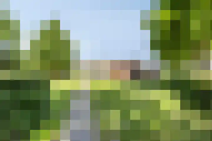 Pr Hendrikstraat 22 Dalerpeel thumbnail 52