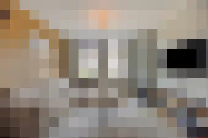 Pr Hendrikstraat 22 Dalerpeel thumbnail 9
