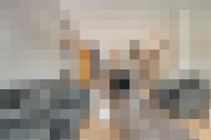 Pr Hendrikstraat 24 Dalerpeel thumbnail 11