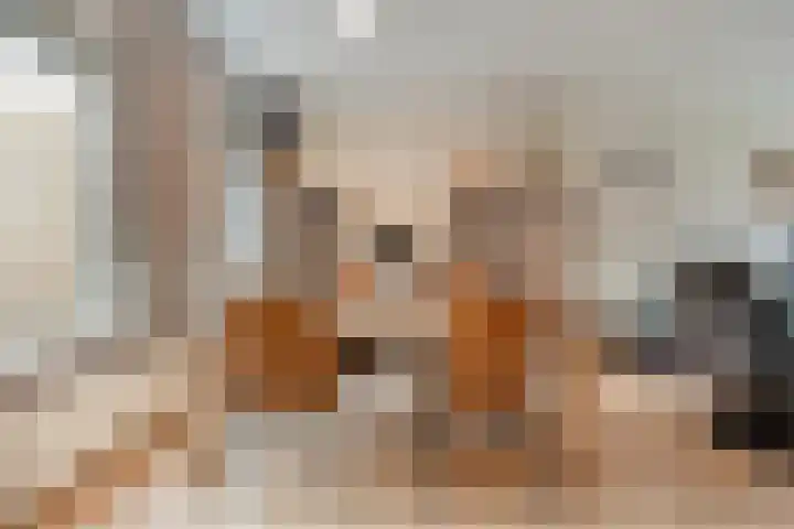 Pr Hendrikstraat 24 Dalerpeel thumbnail 13