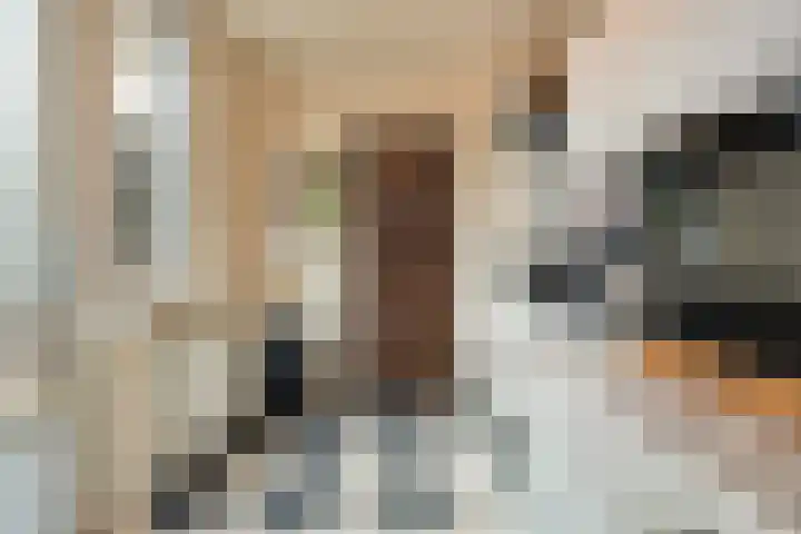 Pr Hendrikstraat 24 Dalerpeel thumbnail 18