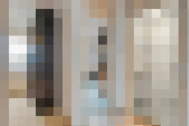 Pr Hendrikstraat 24 Dalerpeel thumbnail 20