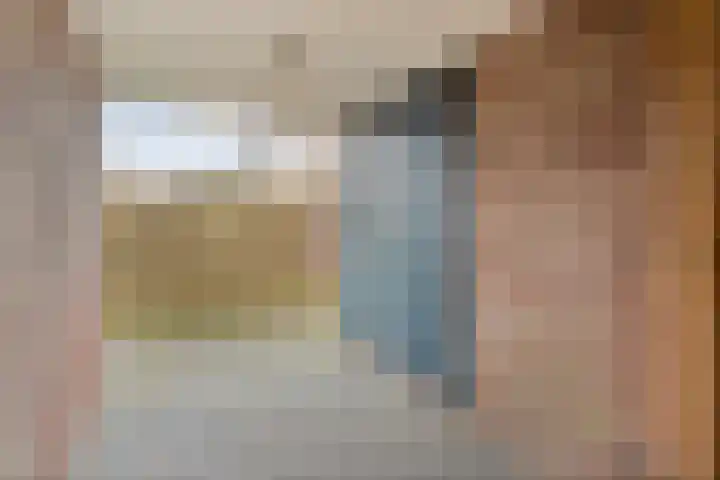 Pr Hendrikstraat 24 Dalerpeel thumbnail 36