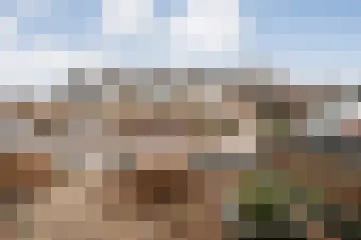 Pr Hendrikstraat 24 Dalerpeel thumbnail 5