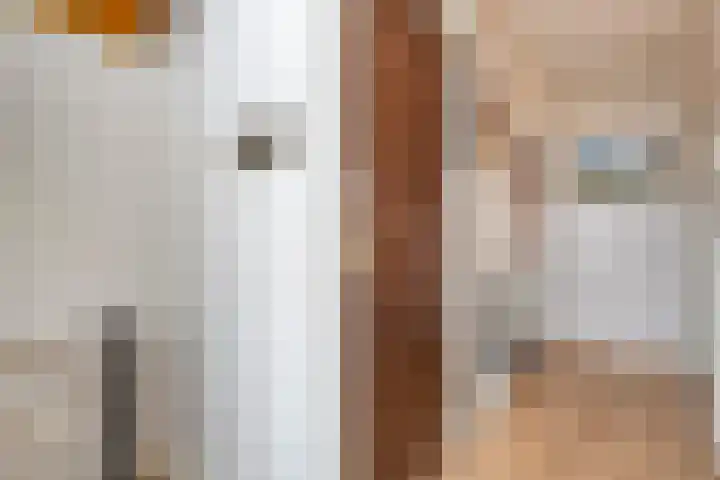Pr Hendrikstraat 24 Dalerpeel thumbnail 6