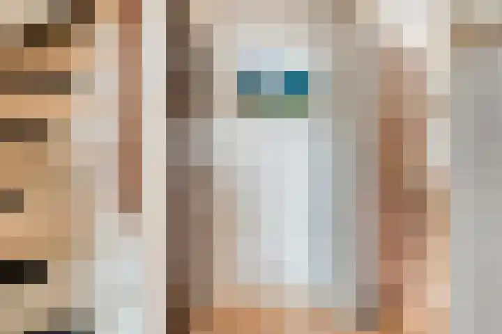 Pr Hendrikstraat 24 Dalerpeel thumbnail 7