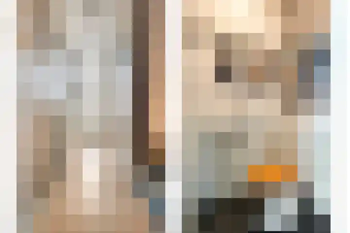 Pr Hendrikstraat 24 Dalerpeel thumbnail 8