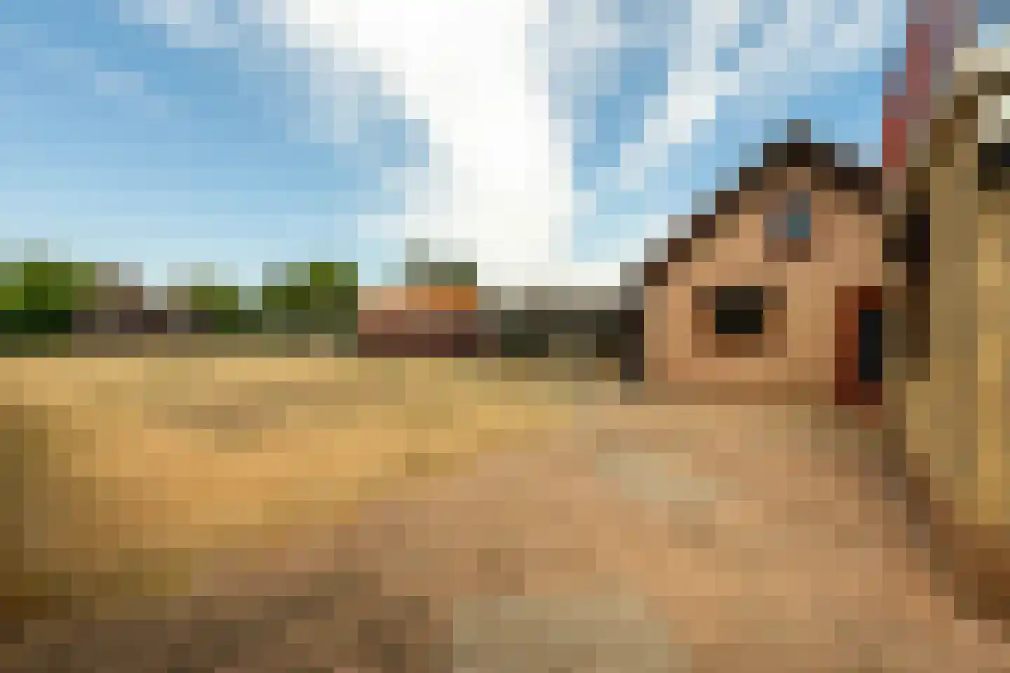 Pr Hendrikstraat 43 Hoogerheide thumbnail 23