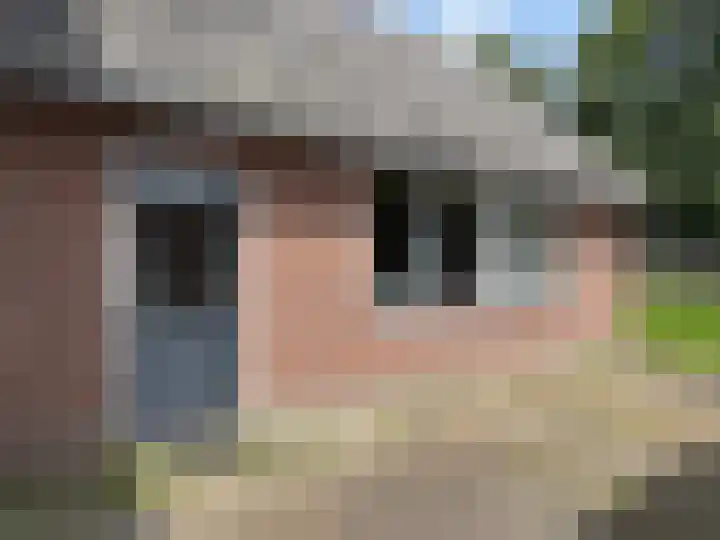 Pr Hendrikstraat 50 Dalerpeel thumbnail 13