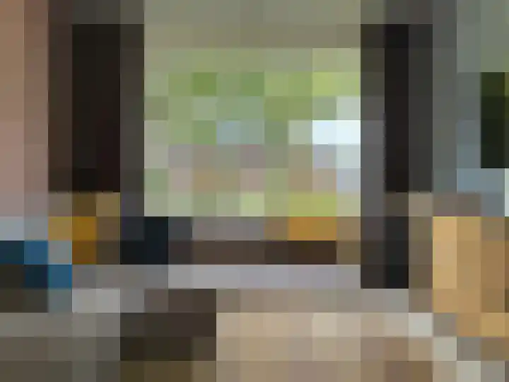 Pr Hendrikstraat 50 Dalerpeel thumbnail 18