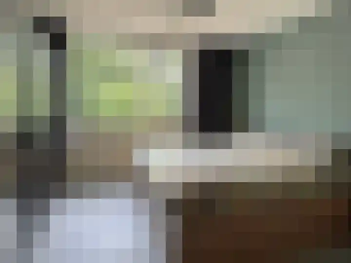 Pr Hendrikstraat 50 Dalerpeel thumbnail 23