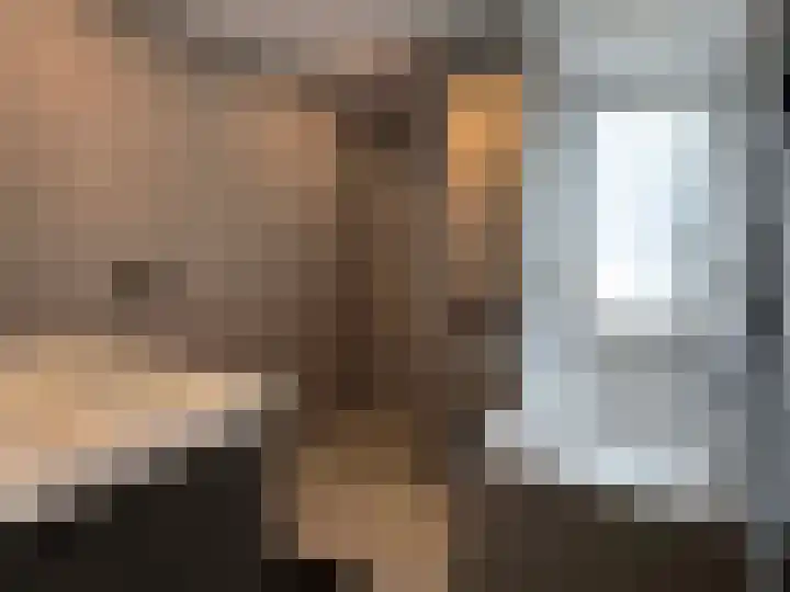 Pr Hendrikstraat 50 Dalerpeel thumbnail 5