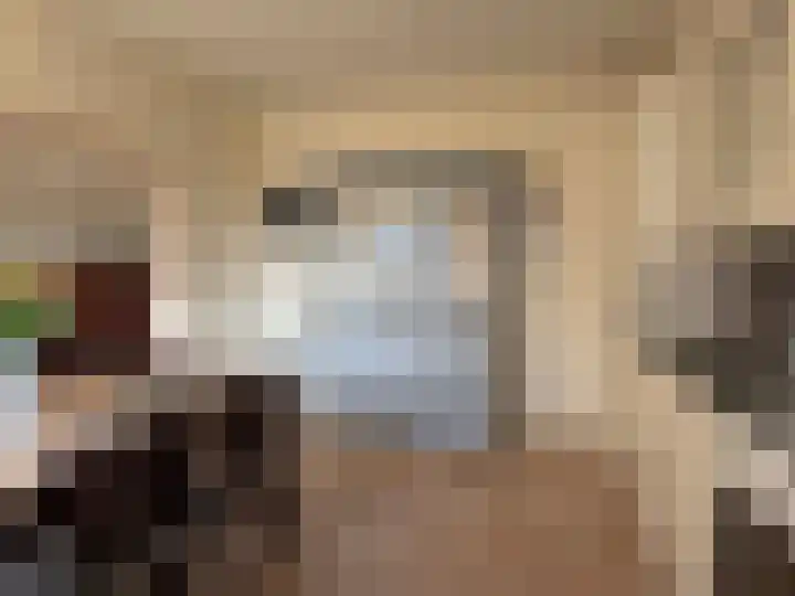 Pr Hendrikstraat 72 Dalerpeel thumbnail 25