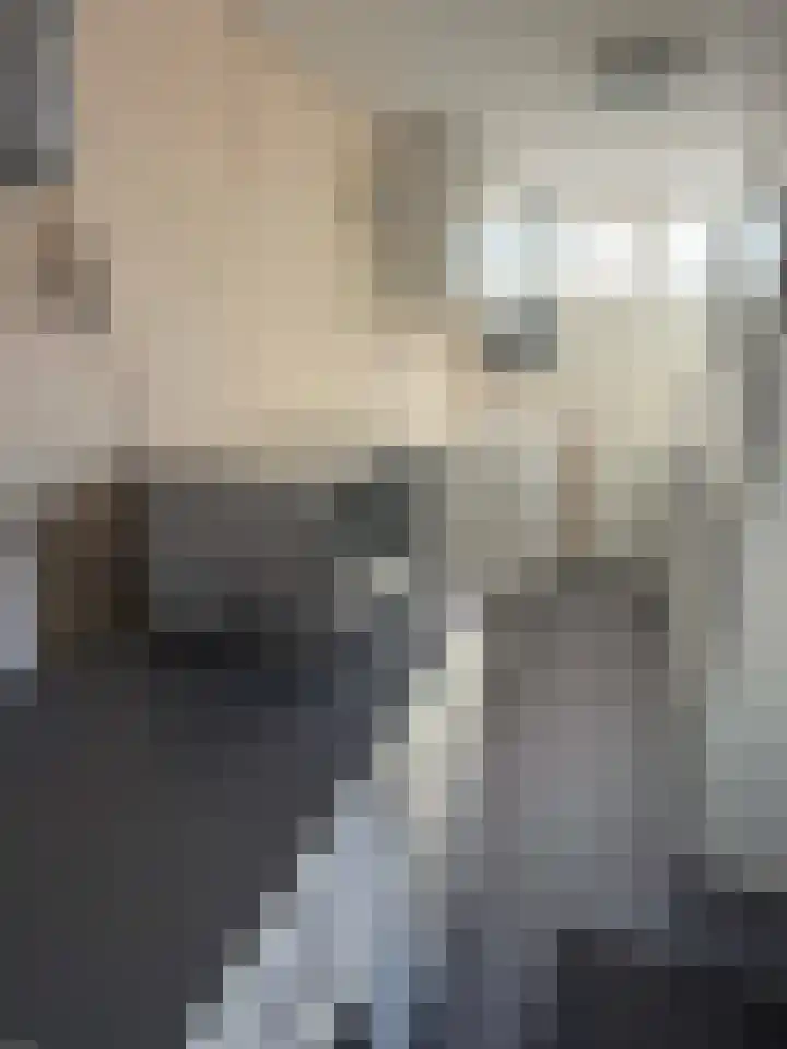 Pr Hendrikstraat 72 Dalerpeel thumbnail 27