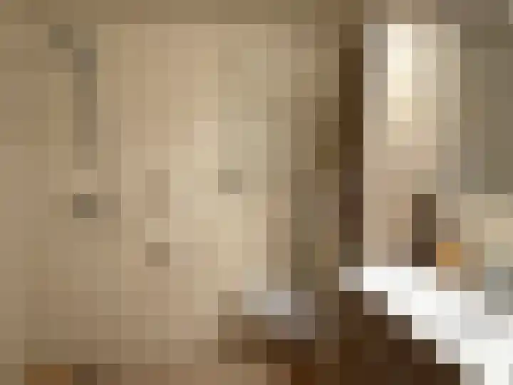 Pr Hendrikstraat 72 Dalerpeel thumbnail 34