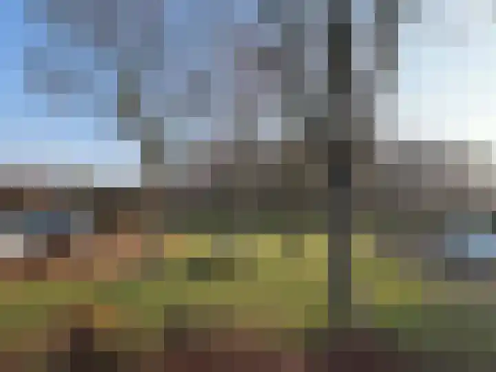 Pr Hendrikstraat 72 Dalerpeel thumbnail 6