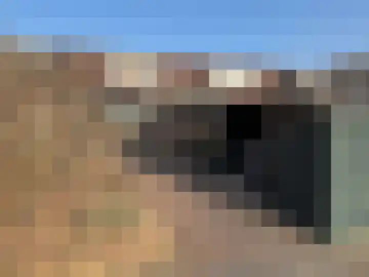 Pr Hendrikstraat 72 Dalerpeel thumbnail 8