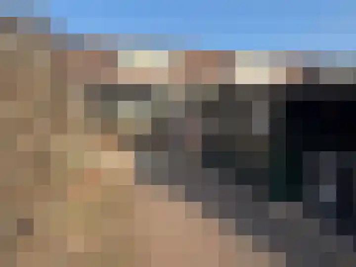 Pr Hendrikstraat 72 Dalerpeel thumbnail 9