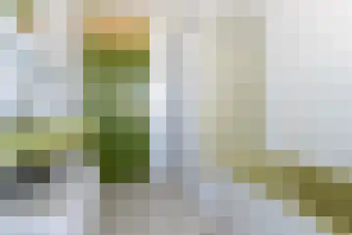 Pr Irenelaan 39 Amerongen thumbnail 22