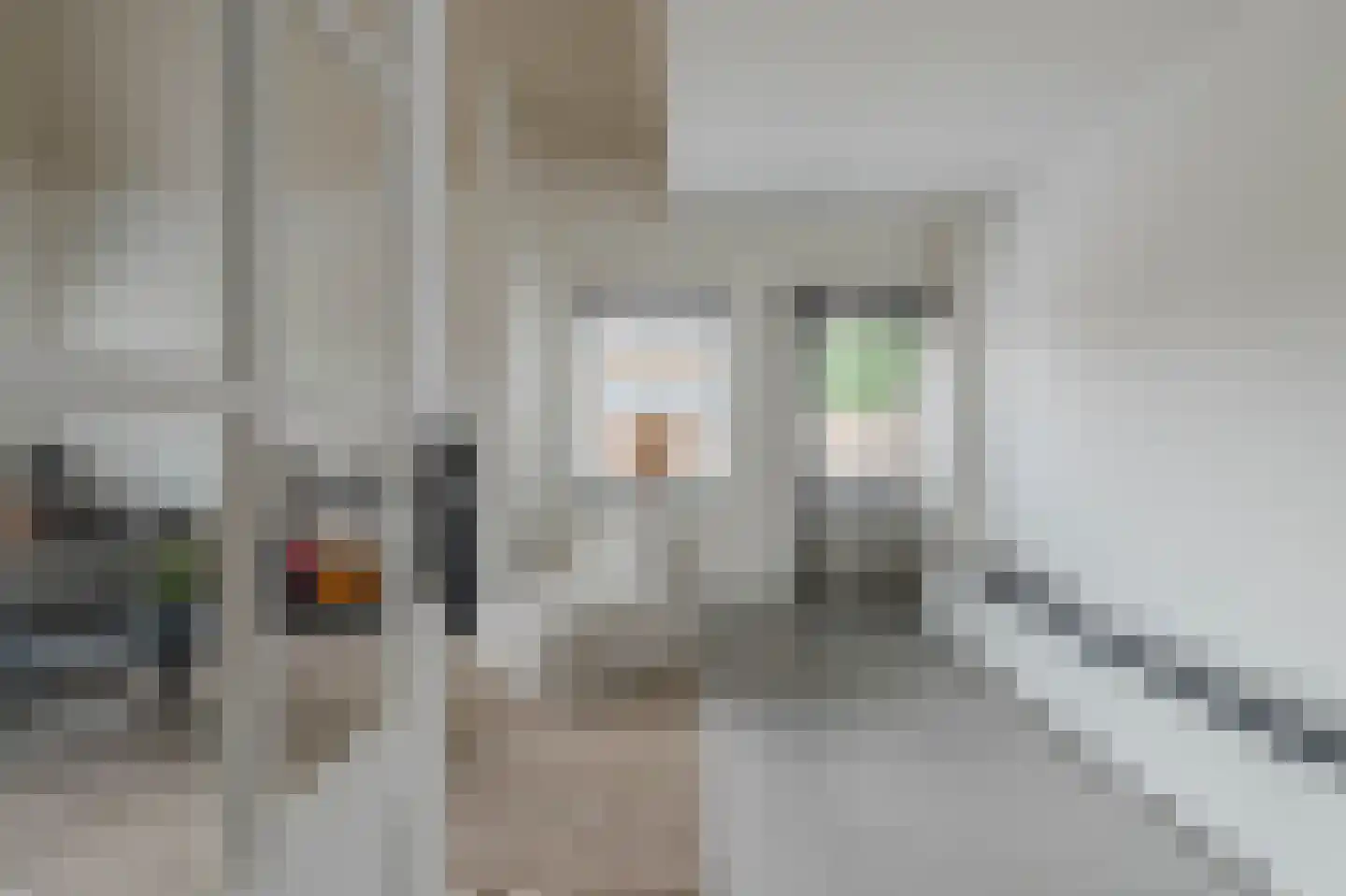 Pr. Irenestraat 60 Horst thumbnail 33