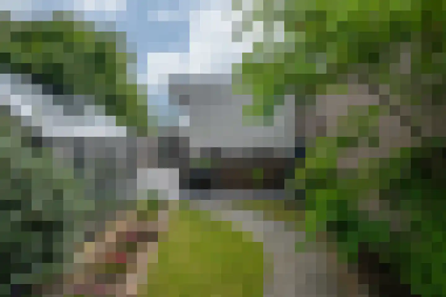 Pr. Irenestraat 60 Horst thumbnail 63