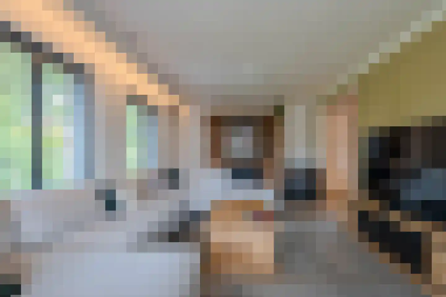 Pr. Irenestraat 60 Horst thumbnail 7