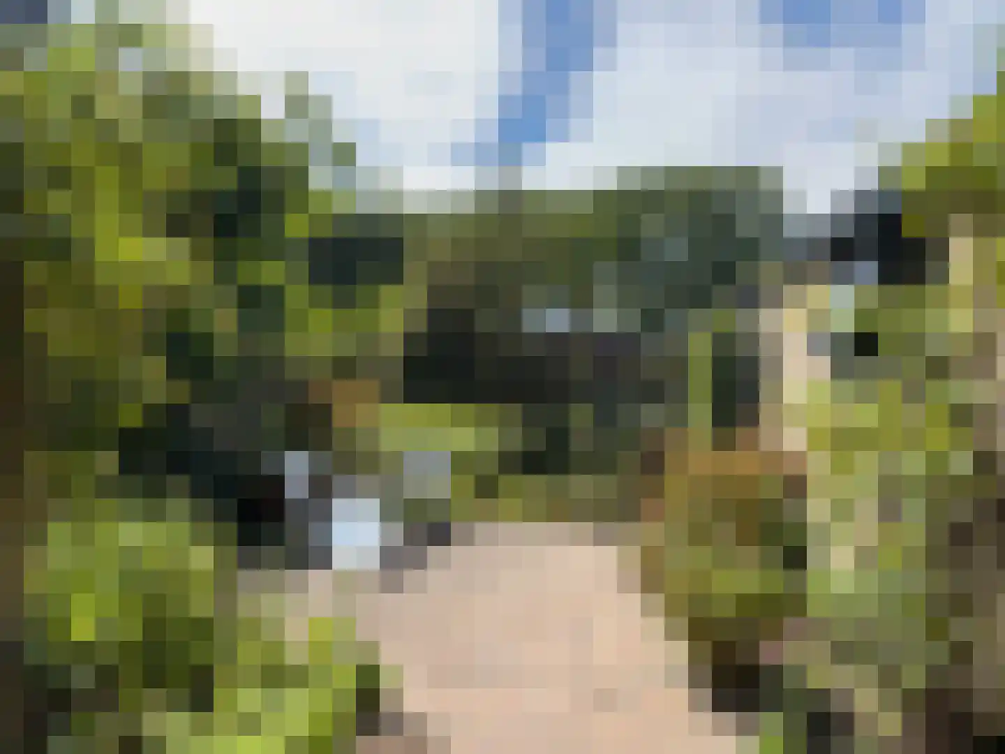 Pr Margrietstraat 7 Amerongen thumbnail 24