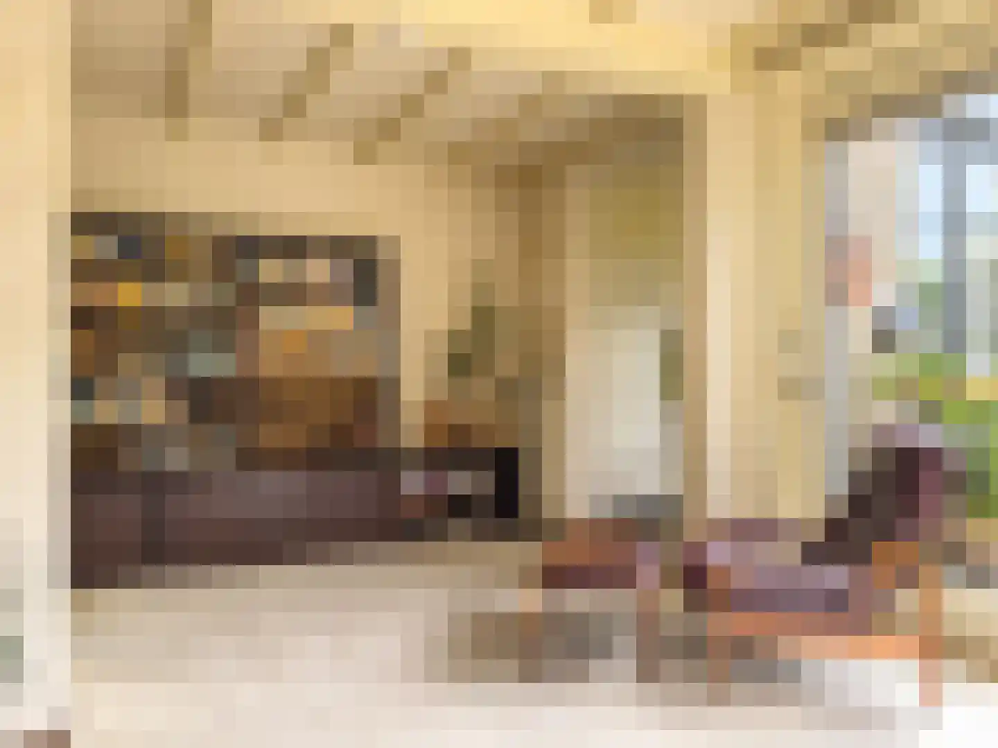 Pr Margrietstraat 7 Amerongen thumbnail 9