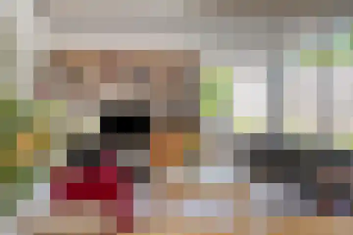 Pr.Marijkestraat 10 Gennep thumbnail 13