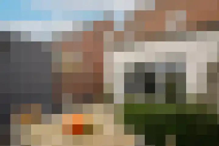 Pr van Oranjestraat 11 Zaltbommel thumbnail 41